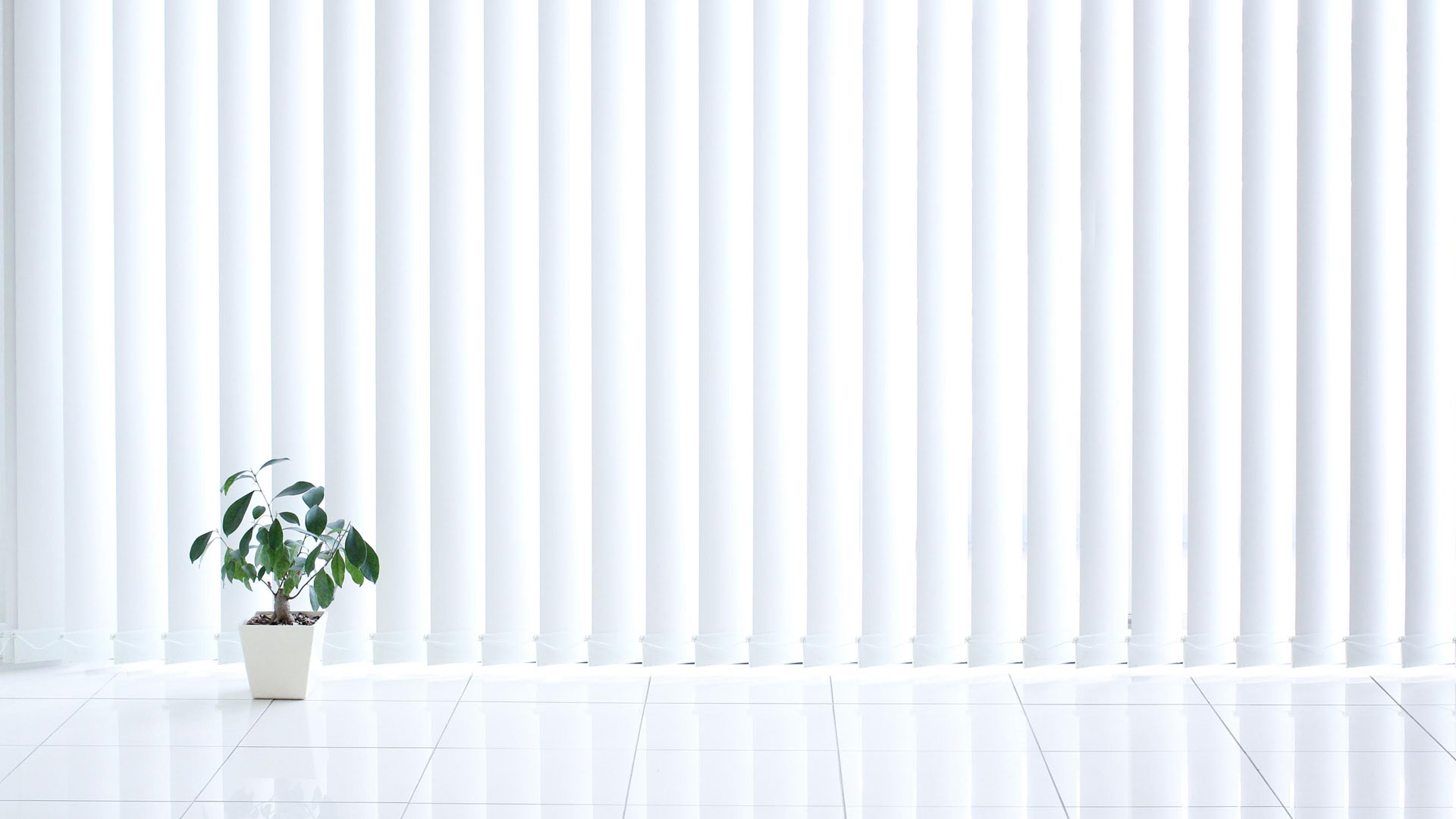 Vertical Blinds image